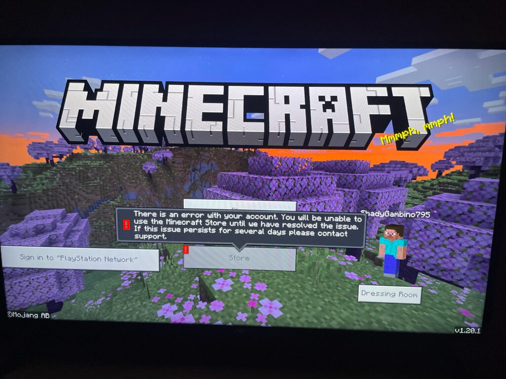 Help This has been happening since the new update released - MineNest ...