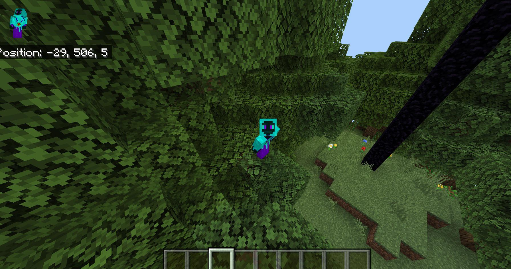 what's wrong in this picture? - MineNest, Mine Nest