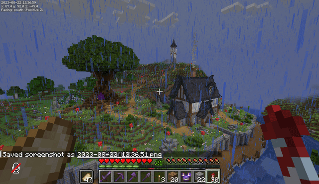 Survival Base Progress - MineNest, Mine Nest