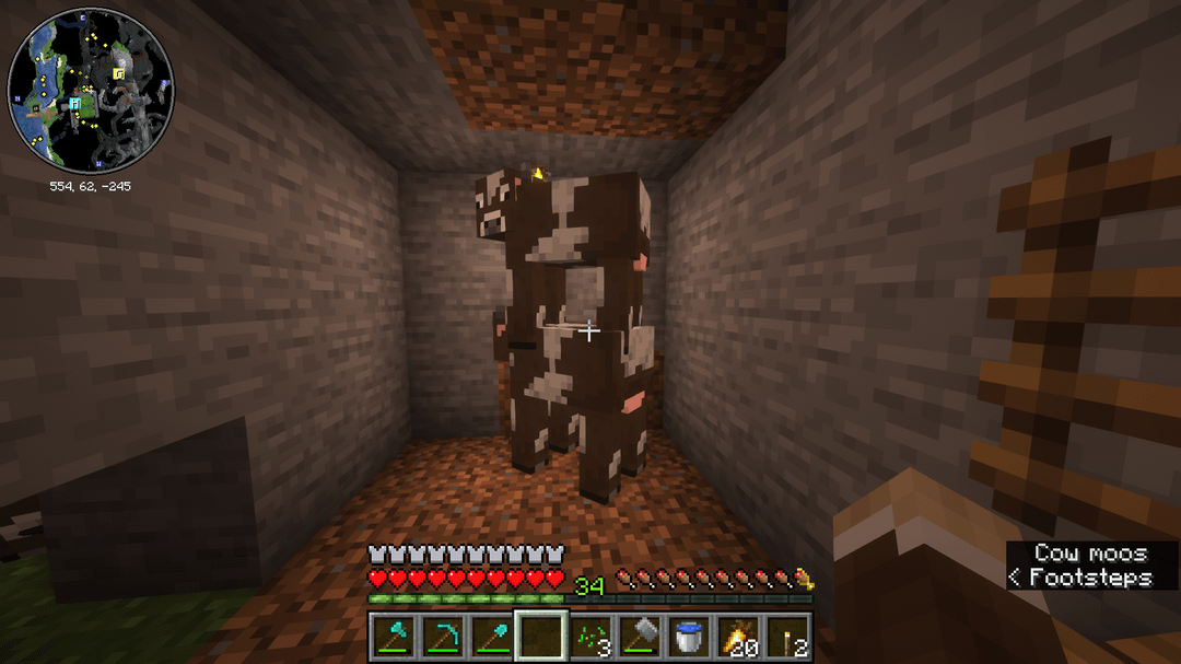 Is this even possible - MineNest, Mine Nest
