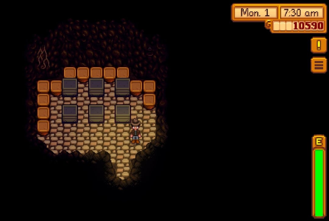 My progress after Year 1 - MineNest, Mine Nest