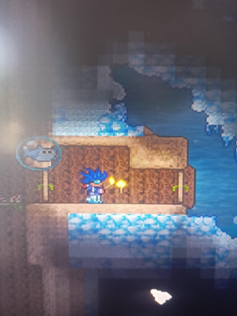 Whats the point of this room?? - MineNest, Mine Nest