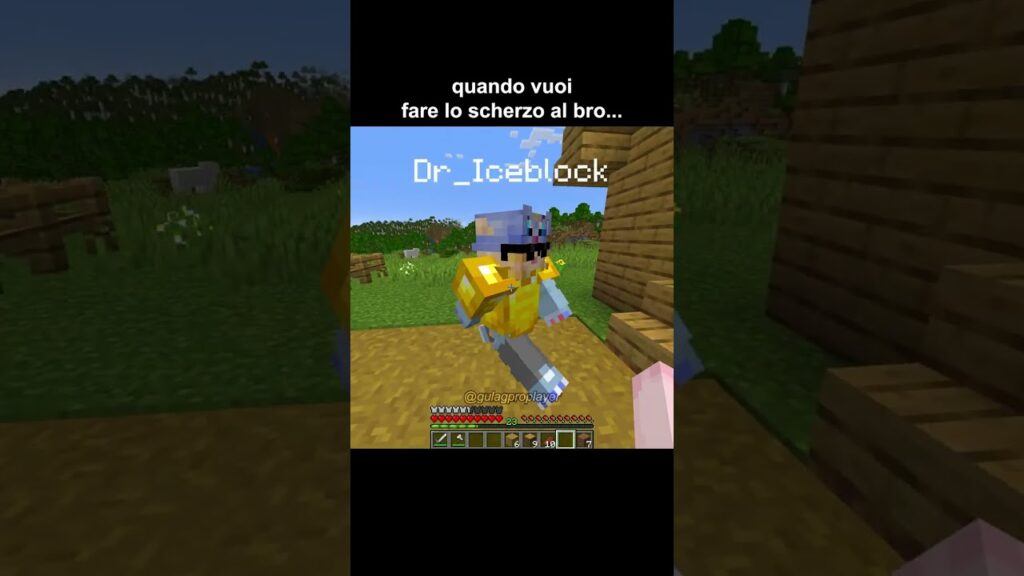 scherzo epico finito male… #minecraft scherzo epico finito male... #minecraft