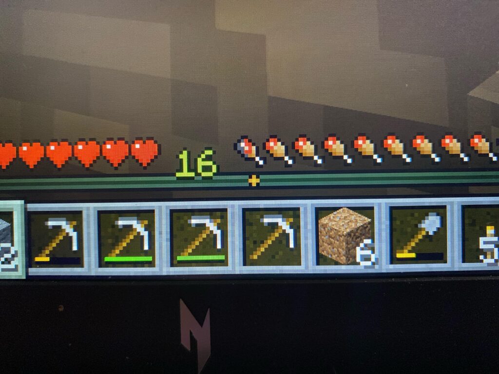 What is this symbol on exp bar on my realm? Java - MineNest, Mine Nest