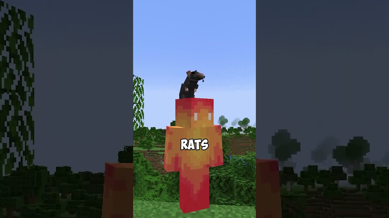 Minecraft Cheese Rats what if minecraft had rats? - MineNest, Mine Nest