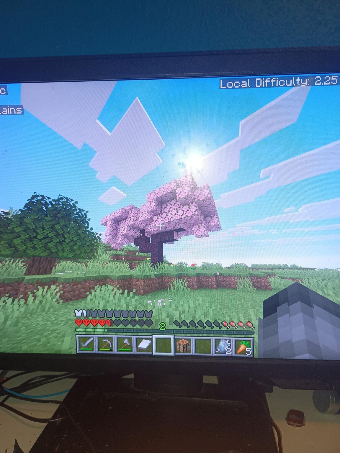 Found a lonely cherry tree in the middle of a plains