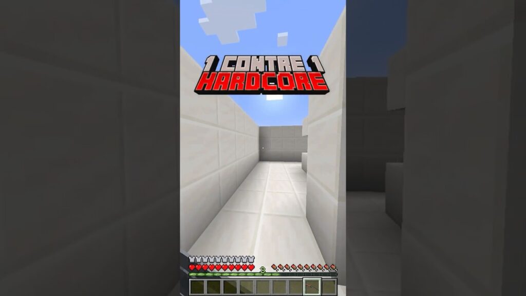 C’est le PIRE combat de l’HISTOIRE π #minecraft C'est le PIRE combat de l'HISTOIRE π #minecraft