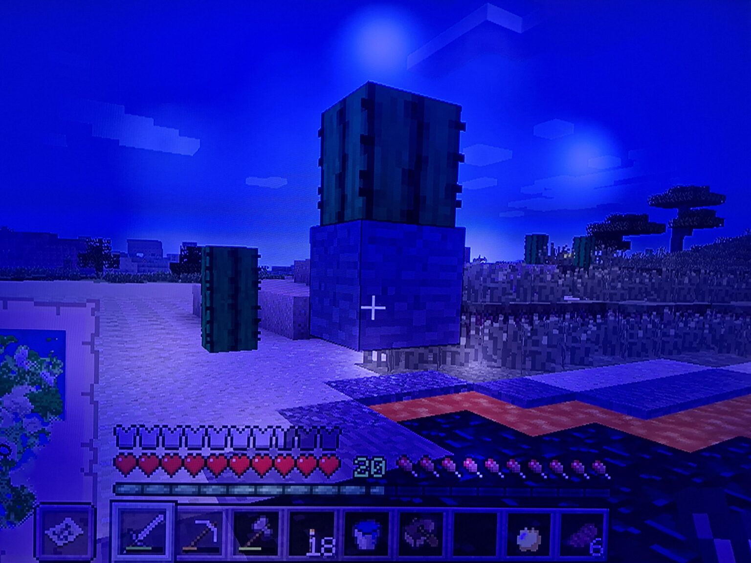 I found the chosen cactus