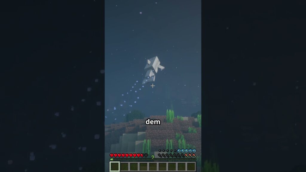 Delfine sind die dümmsten Tiere in Minecraft Delfine sind die dümmsten Tiere in Minecraft