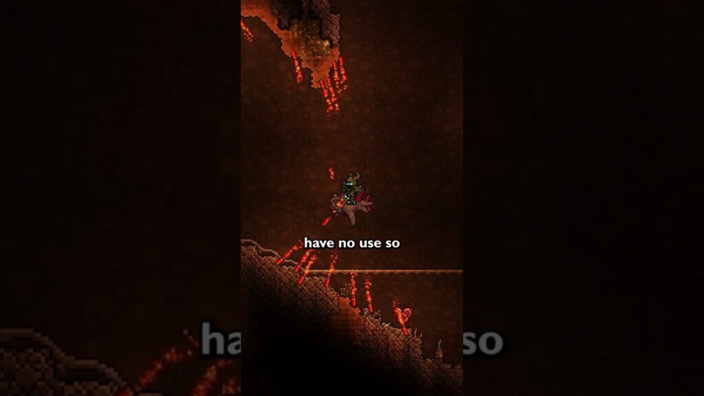 Most Useless Item In Terraria #terraria #gaming