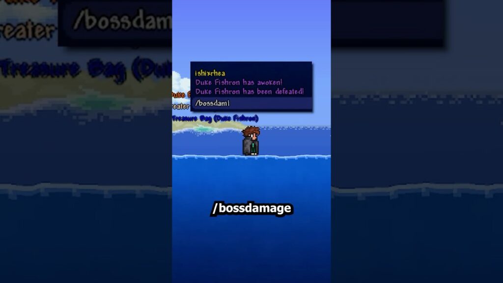 What EVERY Command Does In Terraria!