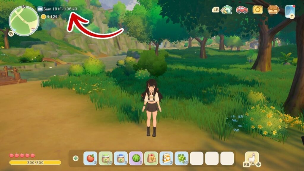 Essential Beginner Tips and Tricks – Starsand Island Guide Essential Beginner Tips and Tricks - Starsand Island Guide