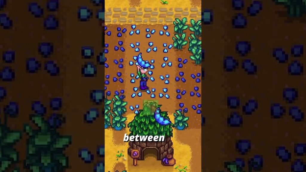 Playing Stardew Valley One Day at a time for the Year – Day 239 #stardewvalley #stardew #dailyvlog Playing Stardew Valley One Day at a time for the Year - Day 239 #stardewvalley #stardew #dailyvlog