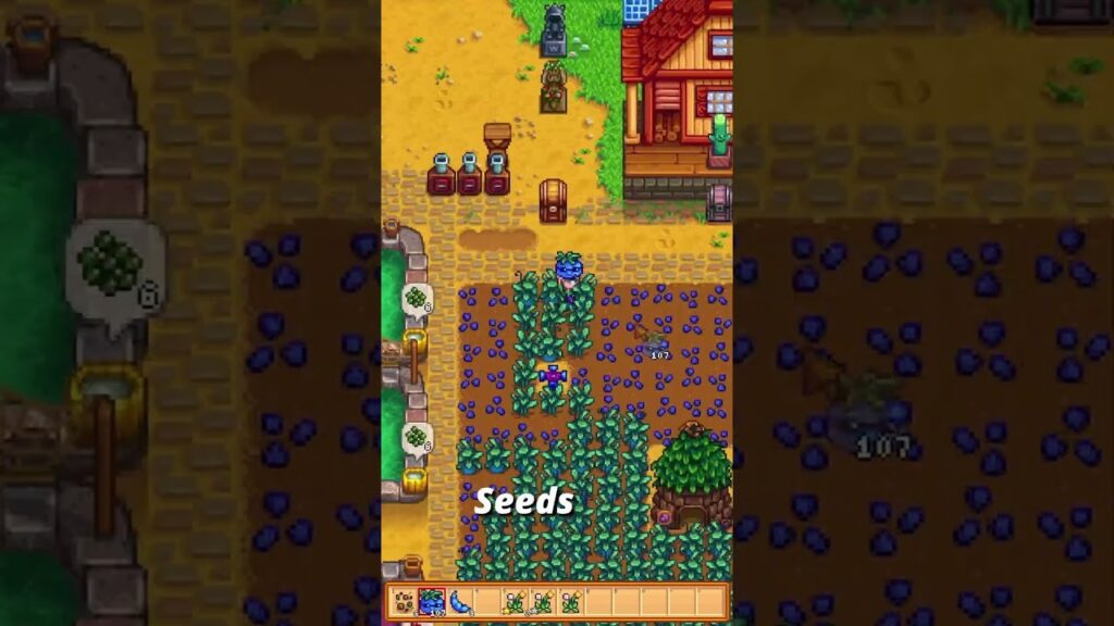 Playing Stardew Valley One Day at a time for the Year - Day 245 #stardewvalley #stardew #dailyvlog