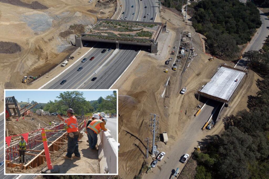 LA’s Annenberg Wildlife Crossing looks unready for December opening