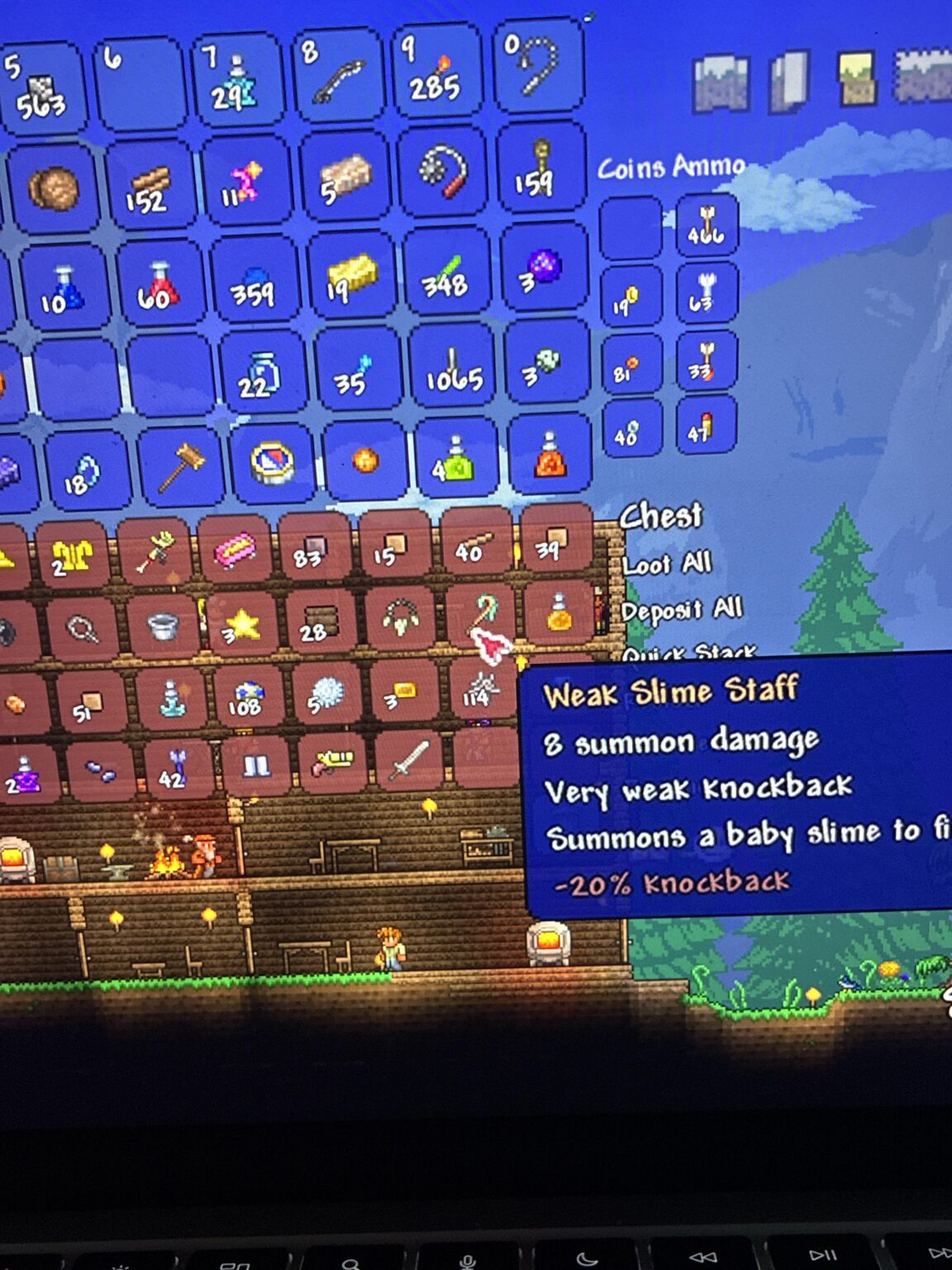 First time playing Terraria, isn’t this supposed to be rare?