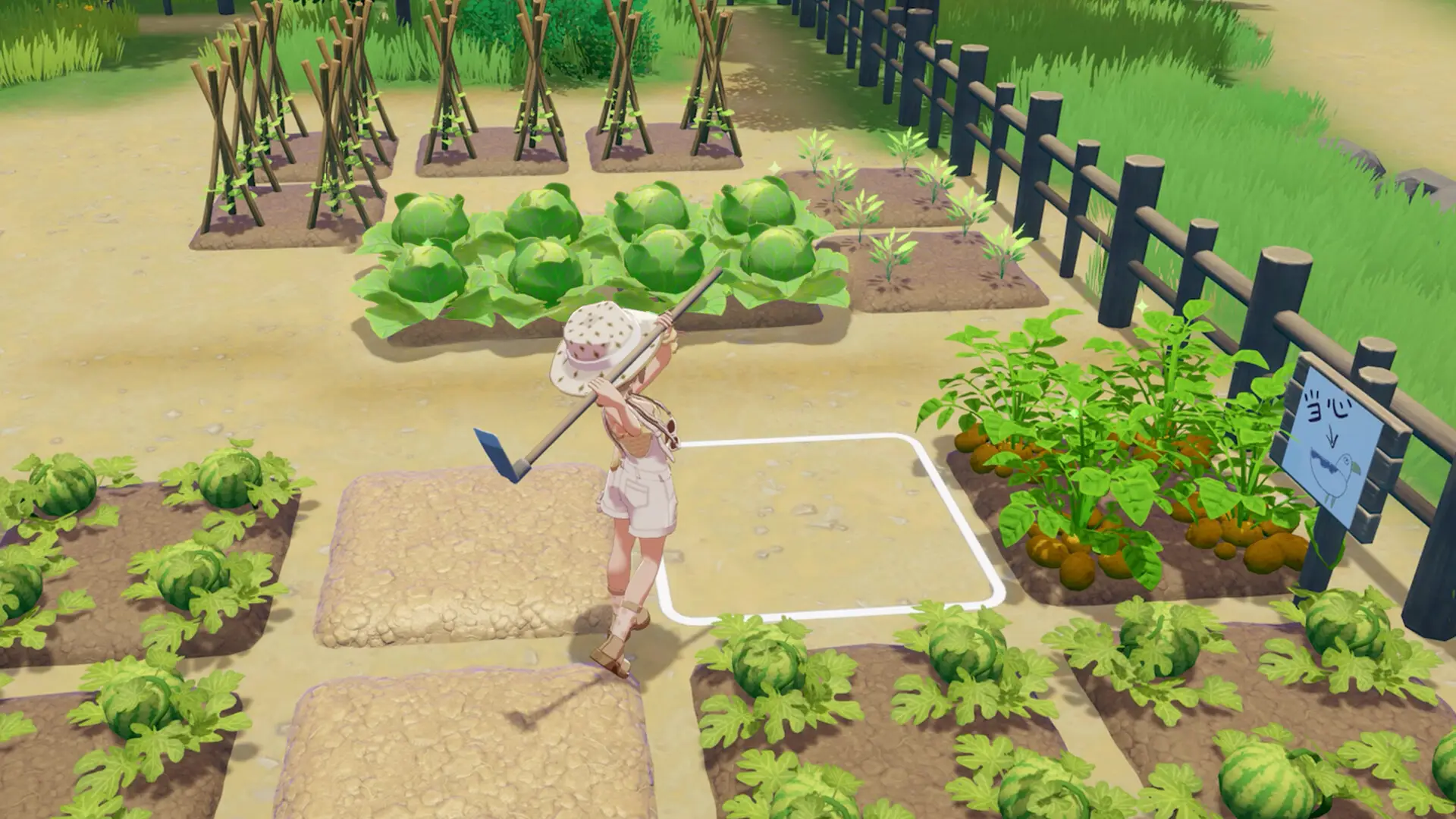 Starsand Island, Credit / Seed Lab