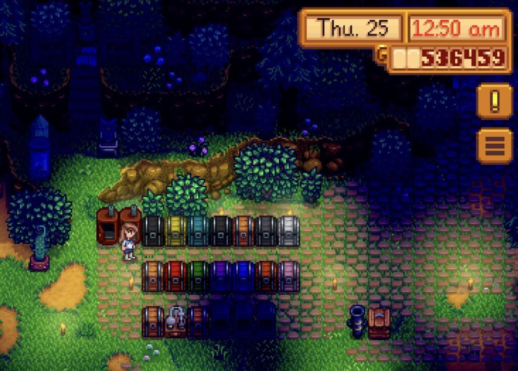 Organizing Chest